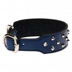 Studded Fashion Leather Staffy Collar (Blue)