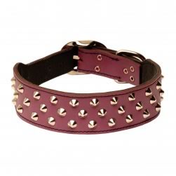 Studded Fashion Leather Staffy Collar