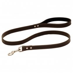 Decorative Leather Lead with Comfy Handle