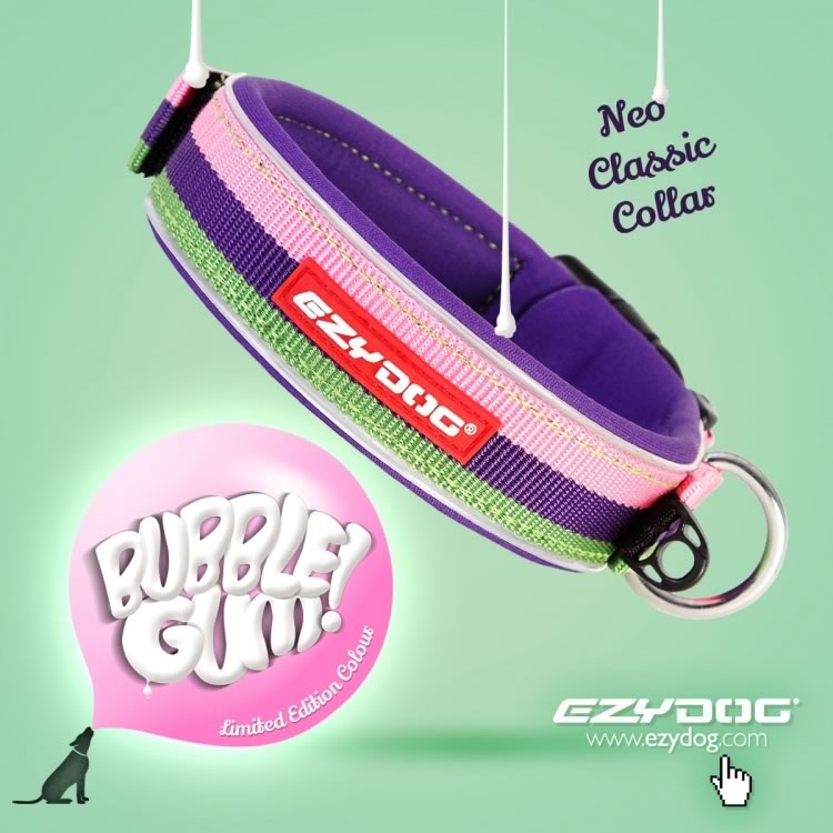 Neoprene Collar - Classic Bubble Gum