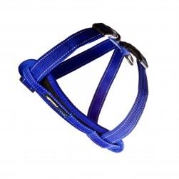 Harness (Blue)