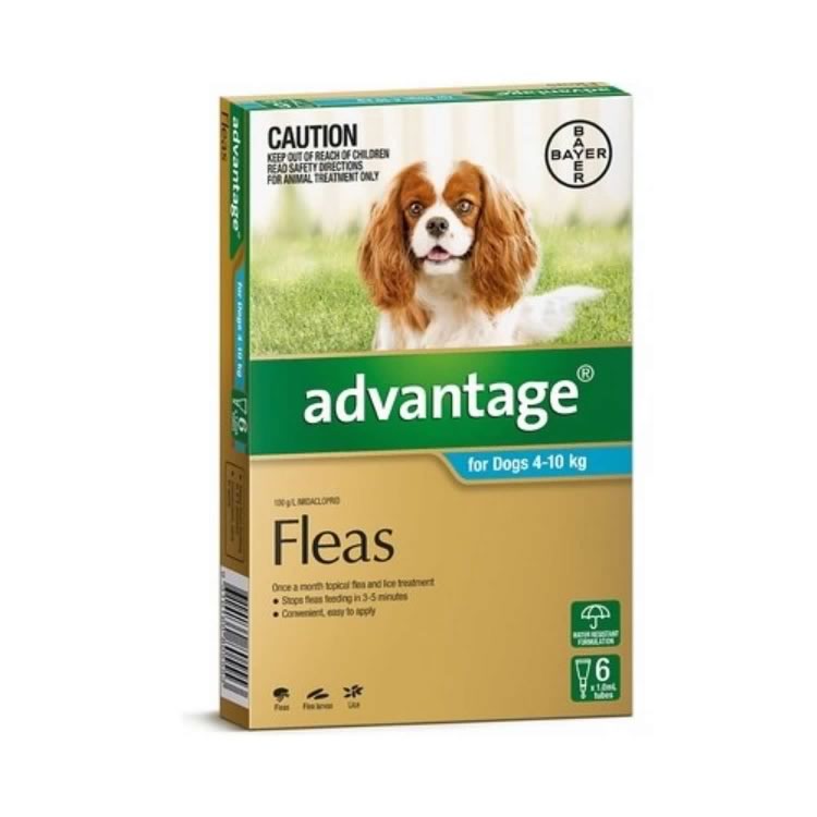 Advantage for Medium Dogs (Aqua)