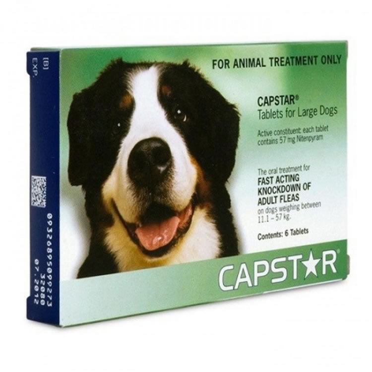 Capstar 57 for Large Dogs (11.5 to 57kg)