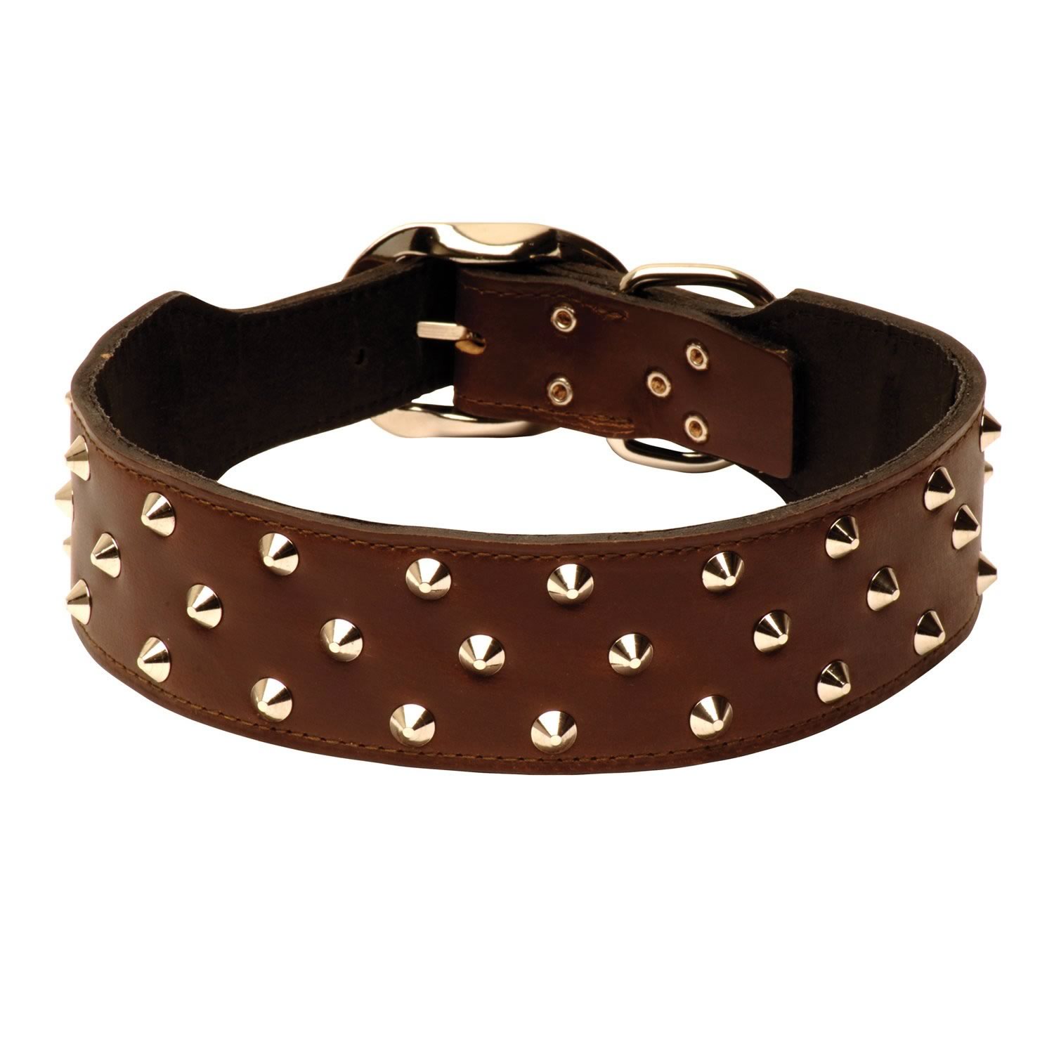 staffy puppy collars