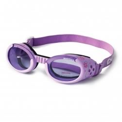 ILS Doggles (Purple)