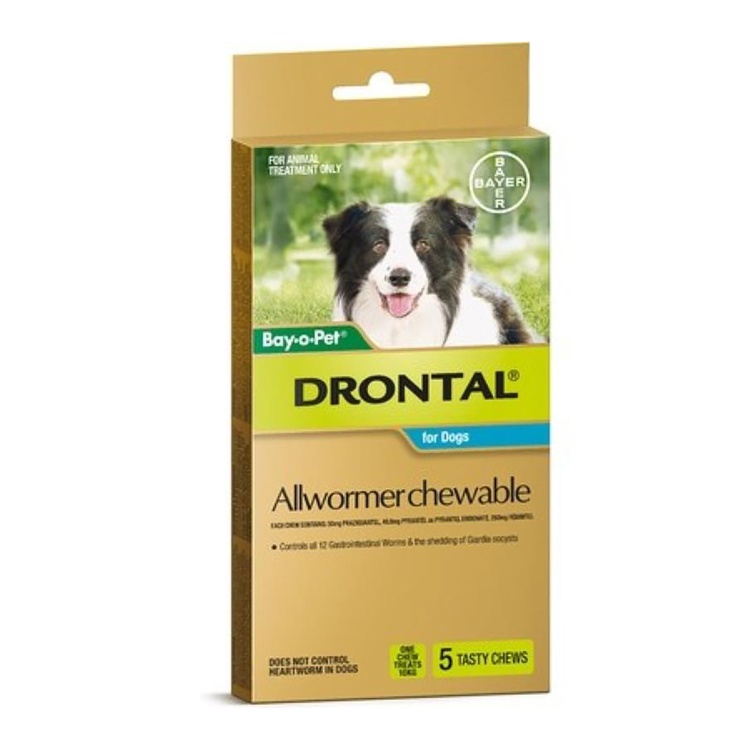 Drontal Chewable Allwormer for Dogs
