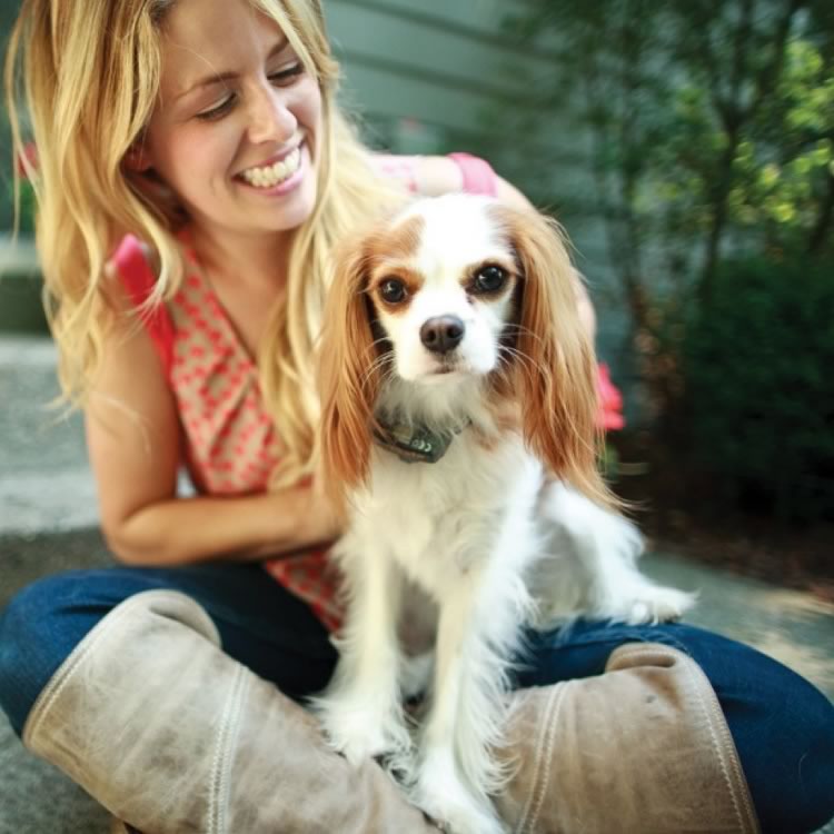 Little Dog Deluxe In-Ground Fence System