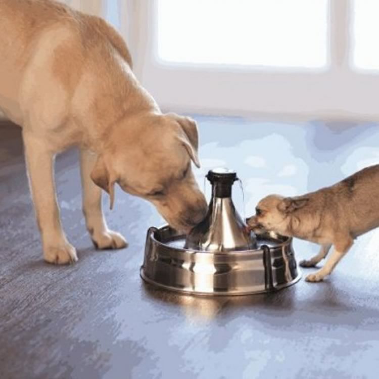 Drinkwell® 360 Stainless Steel Pet Fountain