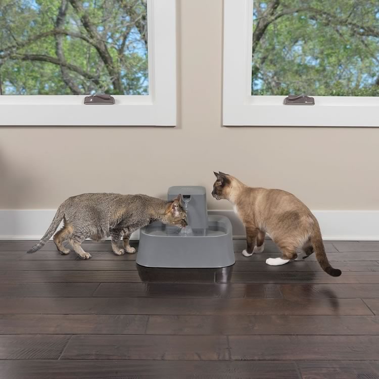 Drinkwell® 7.5 Litre Pet Fountain