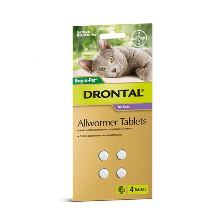 Drontal Allwormer for Cats
