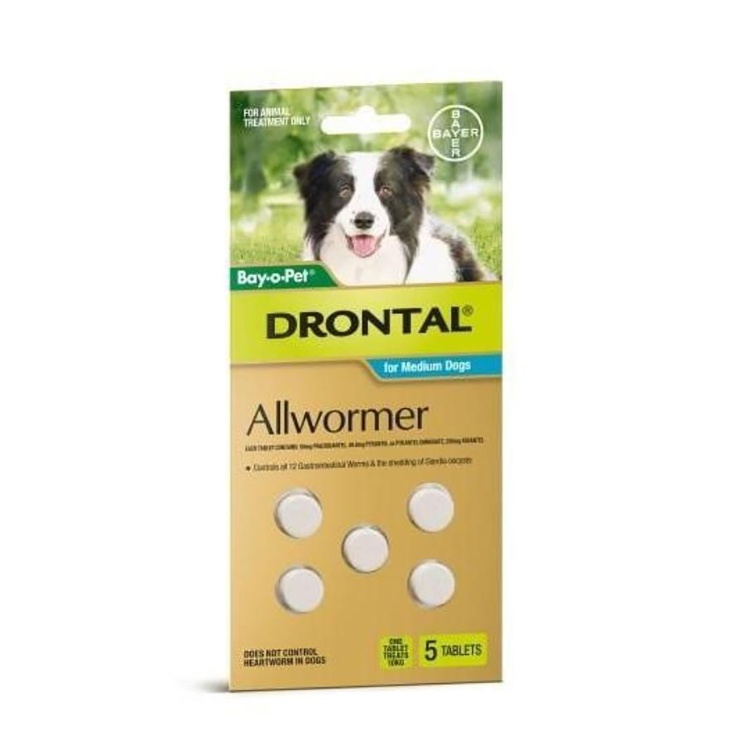Drontal Allwormer for Dogs