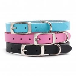 Leather Cat Collar (Black)