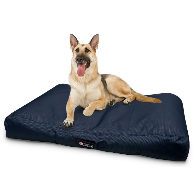 Petlife bedding system hotsell