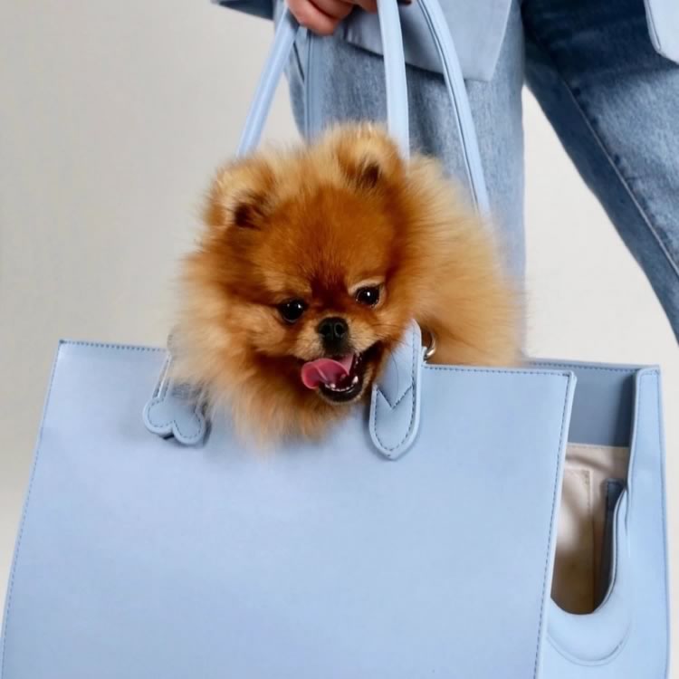 LOLA Dog Carrier