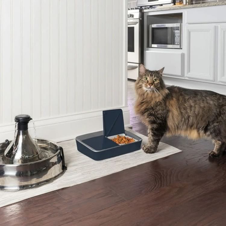 Digital Two Meal Pet Feeder