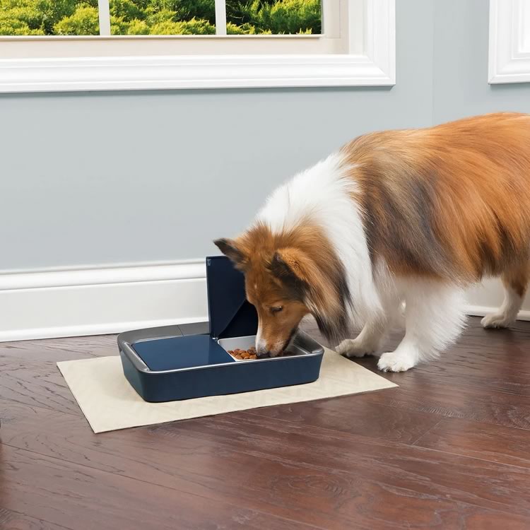 Digital Two Meal Pet Feeder