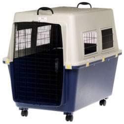 Pet Transporter