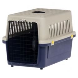 Pet Transporter (Medium)