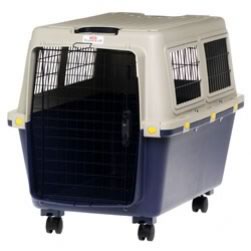 Pet Transporter (Large)