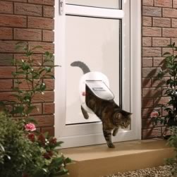 Staywell Big Cat/Small Dog 4-Way Locking Pet Door (200 Series)