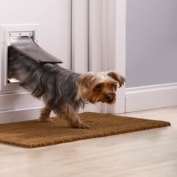 Staywell Aluminum Pet Door (600 Series)