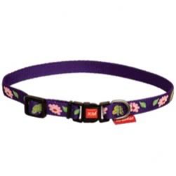 Floral Puppy Collar