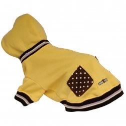 Wagwear Sweat Shirt Yellow