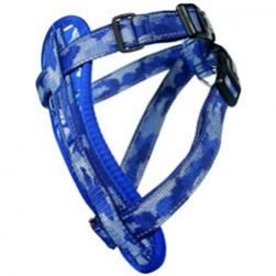 Harness (Arctic Blue)