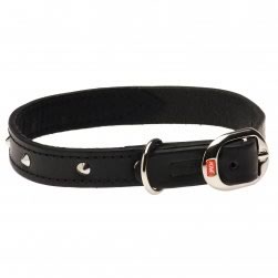 Studded and Lined Plain Leather Collar