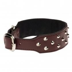 Studded Plain Leather Staffy Collar (Cherry)