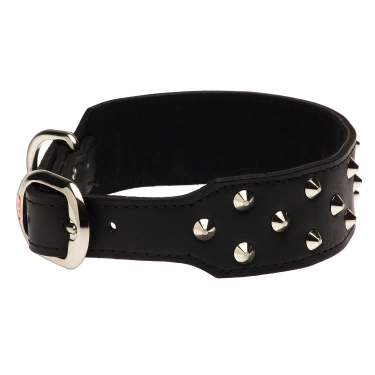 Studded Plain Leather Staffy Collar