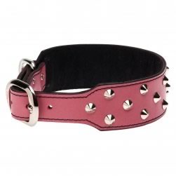 Studded Fashion Leather Staffy Collar (Pink)
