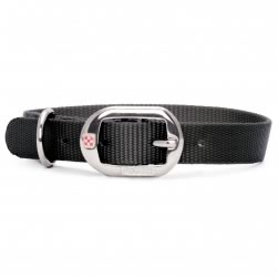 Plain Nylon Collar