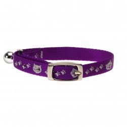 Hi-Lite Cat Collar