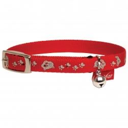 Hi-Lite Cat Collar