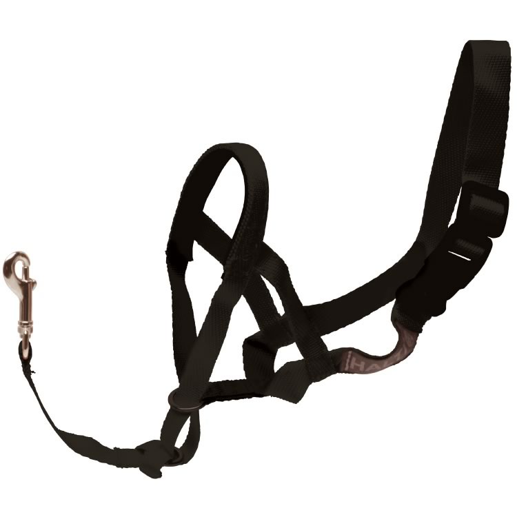 Halti Head Collar