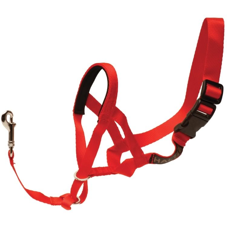 Halti Head Collar (Red)