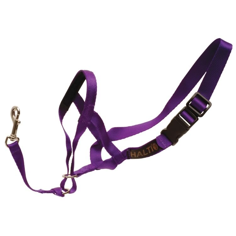 Halti Head Collar (Purple)