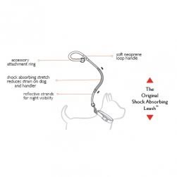 Mutley Leash drawing