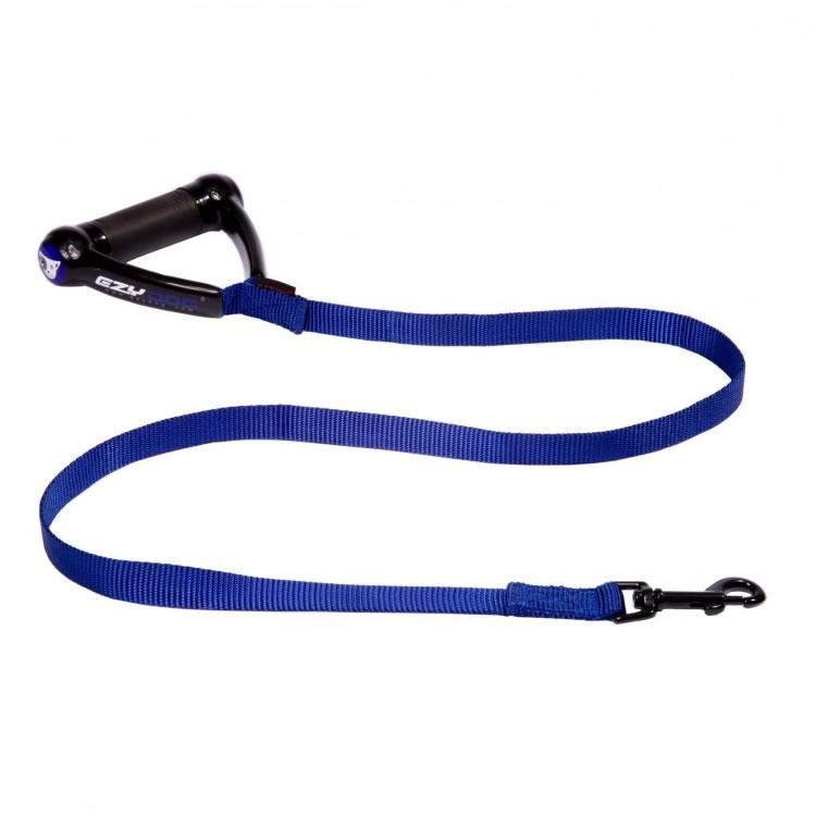 EzyDog Webster Leash