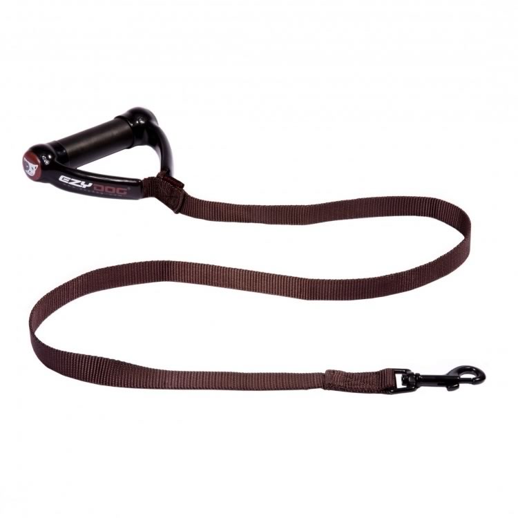 Webster Leash