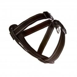 Harness (Black)