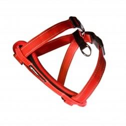 Harness (Red)