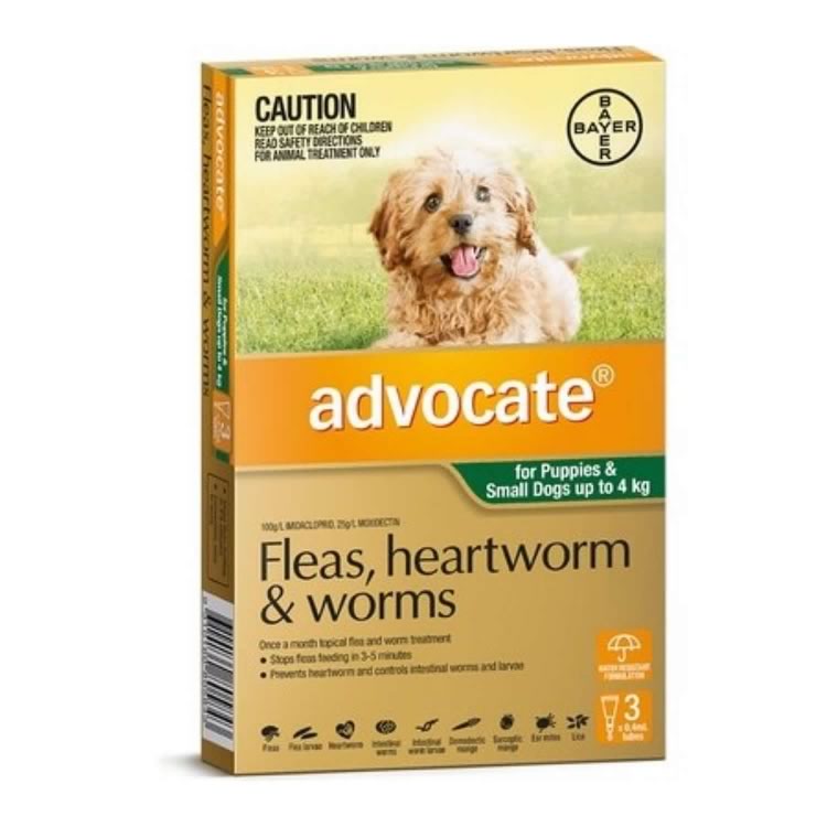 Advocate for Small Dogs (Green)