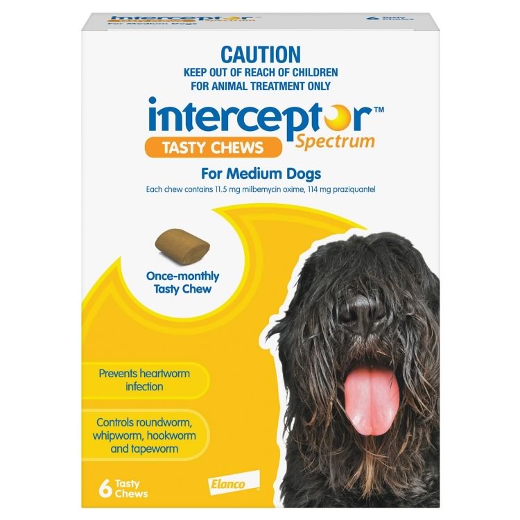 Interceptor Spectrum for Medium Dogs (Yellow)