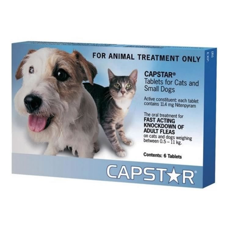 Capstar novartis sales