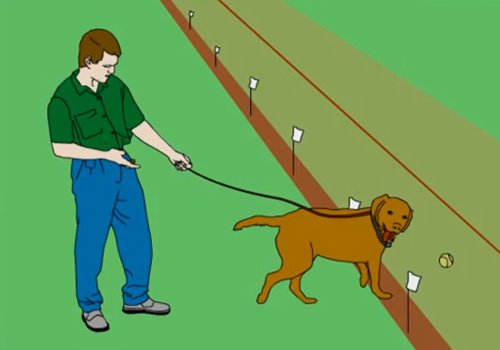Guardian by PetSafe Fence Installation and Pet Training - Part 2 