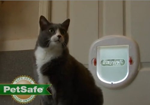 PetSafe 