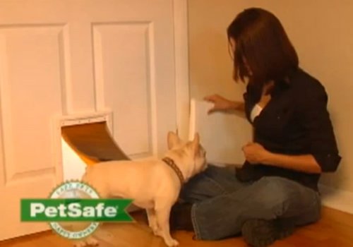 PetSafe Extreme Weather Pet Door Installation