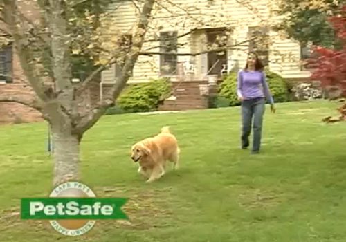 Training Your Dog: PetSafe Containment System